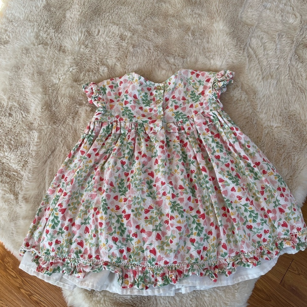 Rachel Zoe Multicolor Floral Baby Dress - Picture 6 of 10